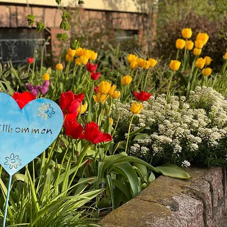 Spreewald לוקאו