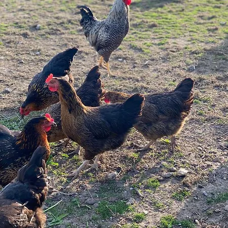 Spreewald Дом отдыха *