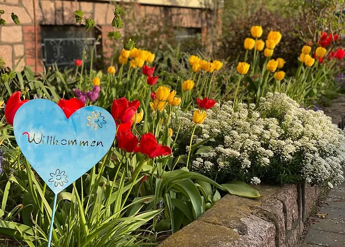 Spreewald لوكاو